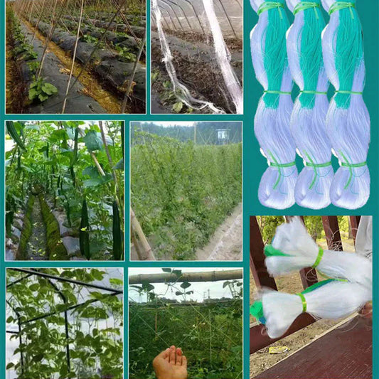 Rede treliçada de jardim para plantas trepadeiras