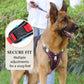 🐕 50% DE DESCONTO! 🔦 Peitoral anti-puxão para cães com guia e coleira LED – alivia a pressão, nylon macio e perfeito para caminhadas noturnas e treinamento 🌙