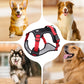🐕 50% DE DESCONTO! 🔦 Peitoral anti-puxão para cães com guia e coleira LED – alivia a pressão, nylon macio e perfeito para caminhadas noturnas e treinamento 🌙