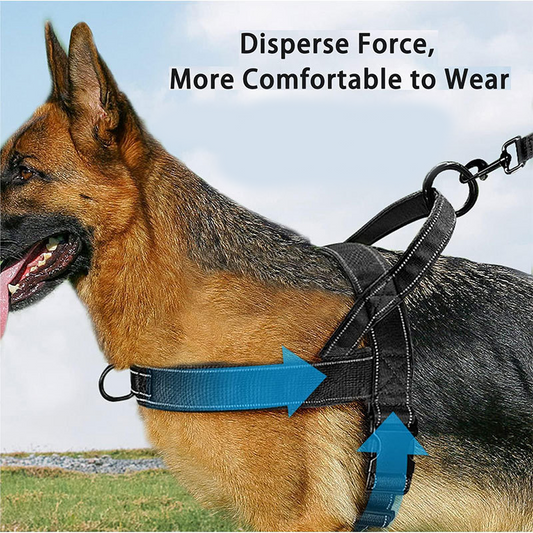 🥳PROMOÇÃO QUENTE 2026!🥳🐕💪 50% DE DESCONTO! Arnês tático resistente para cães – Sem puxões, sem sufoco. 🛡️✨