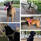 🥳PROMOÇÃO QUENTE 2026!🥳🐕💪 50% DE DESCONTO! Arnês tático resistente para cães – Sem puxões, sem sufoco. 🛡️✨
