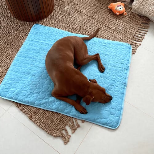 ❄️🐾 Tapete refrescante para pets (efeito de resfriamento 4x aprimorado) 🐶 Um item indispensável para o verão de todo dono de pet!