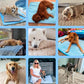 ❄️🐾 Tapete refrescante para pets (efeito de resfriamento 4x aprimorado) 🐶 Um item indispensável para o verão de todo dono de pet!