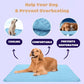 ❄️🐾 Tapete refrescante para pets (efeito de resfriamento 4x aprimorado) 🐶 Um item indispensável para o verão de todo dono de pet!